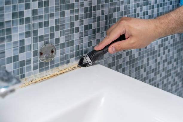 Best Toxic Mold Removal  in Castle Rock, CO