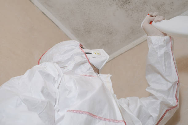 Best Crawl Space Mold Removal  in Castle Rock, CO