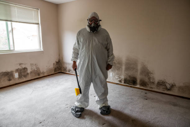 Best Crawl Space Mold Removal  in Castle Rock, CO